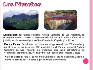 Los PicachosLocalización: El Parque Nacional Natural Cordillera de Los Picachos, se encuentra ubicado sobre la vertiente oriental de la Cordillera Oriental en jurisdicción de los municipios de San Vicente del Caguán y La UribeFlora Y Fauna: De allí que  se habla  de un aproximado de 261 especies y en el caso de las aves de  798 especies.En el Parque Nacional Natural Cordillera de Los Picachos se presentan diez tipos estructurales de vegetación: sabanas altas, medias y bajas; bosques altos, medios y bajosVías de acceso: Para el sector Pato-Balsillas desde la ciudad de Bogotá a Neiva se accede por vía aérea o por carretera pavimentada. 