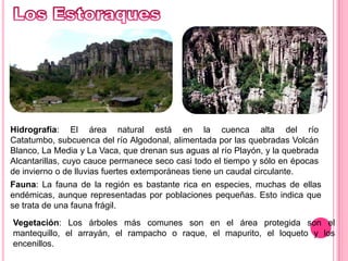Los EstoraquesHidrografía: El área natural está en la cuenca alta del río Catatumbo, subcuenca del río Algodonal, alimentada por las quebradas Volcán Blanco, La Media y La Vaca, que drenan sus aguas al río Playón, y la quebrada Alcantarillas, cuyo cauce permanece seco casi todo el tiempo y sólo en épocas de invierno o de lluvias fuertes extemporáneas tiene un caudal circulante. Fauna: La fauna de la región es bastante rica en especies, muchas de ellas endémicas, aunque representadas por poblaciones pequeñas. Esto indica que se trata de una fauna frágil.Vegetación: Los árboles más comunes son en el área protegida son el mantequillo, el arrayán, el rampacho o raque, el mapurito, el loqueto y los encenillos.