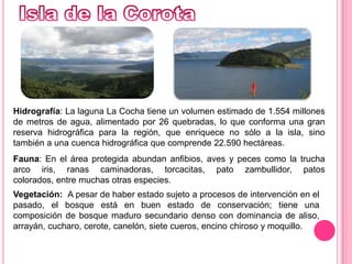 Isla de la CorotaHidrografía: La laguna La Cocha tiene un volumen estimado de 1.554 millones de metros de agua, alimentado por 26 quebradas, lo que conforma una gran reserva hidrográfica para la región, que enriquece no sólo a la isla, sino también a una cuenca hidrográfica que comprende 22.590 hectáreas.Fauna: En el área protegida abundan anfibios, aves y peces como la trucha arco iris, ranas caminadoras, torcacitas, pato zambullidor, patos colorados, entre muchas otras especies.Vegetación:  A pesar de haber estado sujeto a procesos de intervención en el pasado, el bosque está en buen estado de conservación; tiene una composición de bosque maduro secundario denso con dominancia de aliso, arrayán, cucharo, cerote, canelón, siete cueros, encino chiroso y moquillo. 