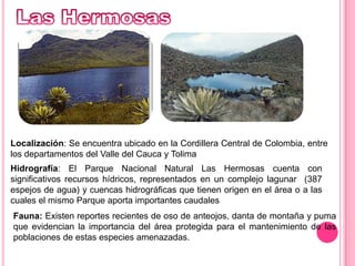 Las HermosasLocalización: Se encuentra ubicado en la Cordillera Central de Colombia, entre los departamentos del Valle del Cauca y TolimaHidrografía: El Parque Nacional Natural Las Hermosas cuenta con significativos recursos hídricos, representados en un complejo lagunar  (387 espejos de agua) y cuencas hidrográficas que tienen origen en el área o a las cuales el mismo Parque aporta importantes caudalesFauna: Existen reportes recientes de oso de anteojos, danta de montaña y puma que evidencian la importancia del área protegida para el mantenimiento de las poblaciones de estas especies amenazadas. 