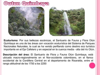 Outun Quimbaya Ecoturismo: Por sus bellezas escénicas, el Santuario de Fauna y Flora Otún Quimbaya es una de las áreas con vocación ecoturística del Sistema de Parques Nacionales Naturales, la cual se ha venido perfilando como destino eco turístico importante en el Eje Cafetero y en especial en la cuenca media - alta del río Otún.Descripción del área: El Santuario de Flora y Fauna Otún Quimbaya, está ubicado macro-regionalmente en el Nor-occidente colombiano, en el flanco occidental de la Cordillera Central en el departamento de Risaralda, entre el rango altitudinal de los 1750 a los 2250 