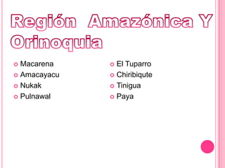 Región  Amazónica Y Orinoquia MacarenaAmacayacuNukakPulnawalEl TuparroChiribiquteTiniguaPaya