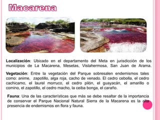 MacarenaLocalización: Ubicado en el departamento del Meta en jurisdicción de los municipios de La Macarena, Mesetas, Vistahermosa, San Juan de Arama.Vegetación: Entre la vegetación del Parque sobresalen endemismos tales como: anime,  zapotillo, alga roja, cacho de venado. El cedro cebolla, el cedro cachicamo, el laurel morruco, el cedro pilón, el guayacán, el amarillo o comino, el zapotillo, el cedro macho, la ceiba bonga, el caraño.Fauna: Una de las características que más se debe resaltar de la importancia de conservar el Parque Nacional Natural Sierra de la Macarena es la alta presencia de endemismos en flora y fauna. 