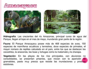 AmacayacuHidrografía: Las crecientes del río Amazonas, principal curso de agua del Parque, llegan al tope en el mes de mayo, inundando gran parte de la región.Fauna: El Parque Amacayacu posee más de 468 especies de aves, 150 especies de mamíferos acuáticos y terrestres, doce especies de primates, el mayor número de reptiles calculado en el país, entre los que se destacan los cocodrilos, la anaconda, las boas y tortugas como la matamatá y la charapa.Vegetación: En las playas de los ríos principales, con aluviones no consolidados, se presentan priseries, que inician con la aparición de gramalotes, pasto muy precoz que resiste las inundaciones y produce estolones. 
