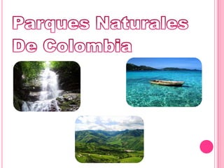 Parques NaturalesDe Colombia
