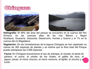 ChingazaHidrografía: El 99% del área del parque se encuentra en la cuenca del Río Orinoco, en las cuencas altas de los ríos Blanco y Negro Guatiquía, Guacavía, Gazaunta, Gazamumo, Humea y Guavio y el 1% en la cuenca del río Magdalena Vegetación: En las inmediaciones de la laguna Chingaza se han registrado no menos de 383 especies de plantas y se estima que la flora total del Parque puede sobrepasar las 2.000 especies.Fauna: En Chingaza encontramos el oso de anteojos, el venado, la danta de páramo, el puma, el cóndor de los Andes, el gallito de roca, el jaguar, pavas, el mono churuco, el mono nocturno, el tigrillo, la chucha y el tucán. 