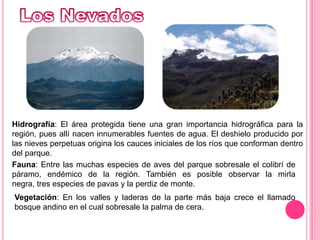 Los NevadosHidrografía: El área protegida tiene una gran importancia hidrográfica para la región, pues allí nacen innumerables fuentes de agua. El deshielo producido por las nieves perpetuas origina los cauces iniciales de los ríos que conforman dentro del parque. Fauna: Entre las muchas especies de aves del parque sobresale el colibrí de páramo, endémico de la región. También es posible observar la mirla negra, tres especies de pavas y la perdiz de monte. Vegetación: En los valles y laderas de la parte más baja crece el llamado bosque andino en el cual sobresale la palma de cera. 