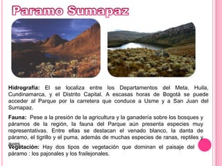 Paramo SumapazHidrografía: El se localiza entre los Departamentos del Meta, Huila, Cundinamarca, y el Distrito Capital. A escasas horas de Bogotá se puede acceder al Parque por la carretera que conduce a Usme y a San Juan del Sumapaz.Fauna: Pese a la presión de la agricultura y la ganadería sobre los bosques y páramos de la región, la fauna del Parque aún presenta especies muy representativas. Entre ellas se destacan el venado blanco, la danta de páramo, el tigrillo y el puma, además de muchas especies de ranas, reptiles y aves. Vegetación: Hay dos tipos de vegetación que dominan el paisaje del páramo : los pajonales y los frailejonales. 
