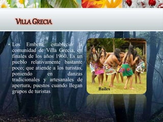 VILLA GRECIA
 Los Emberá; estableció la
comunidad de Villa Grecia, en
finales de los años 1960. Es un
pueblo relativamente bastante
poco; que atiende a los turistas,
poniendo en danzas
tradicionales y artesanales de
apertura, puestos cuando llegan
grupos de turistas Bailes
 