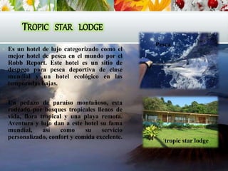TROPIC STAR LODGE
 Es un hotel de lujo categorizado como el
mejor hotel de pesca en el mundo por el
Robb Report. Este hotel es un sitio de
despego para pesca deportiva de clase
mundial y un hotel ecológico en las
temporadas bajas.
o
Un pedazo de paraíso montañoso, esta
rodeado por bosques tropicales llenos de
vida, flora tropical y una playa remota.
Aventura y lujo dan a este hotel su fama
mundial, así como su servicio
personalizado, confort y comida excelente.
Pesca
´tropic star lodge
 