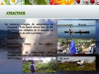 ATRACTIVOS
los mejores refugios de naturaleza en
Panamá.” Este hotel ofrece uno de los
destinos mas aislados en el mundo, en
un ambiente de selva prístina
 kayak de río,
 caminatas, visitas a las aldeas
indígenas
 observación de aves—todo para
después regresar al confort del Tropic
Star Lodge.
Kayak
Caminatas
Observación
De aves
 