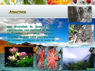 ATRACTIVOS
 una diversidad de fauna y flora
espectacular, con multitud de plantas
medicinales y otros recursos
naturales de gran valor para practicar
un turismo ecológico en la zona de
calidad.
 