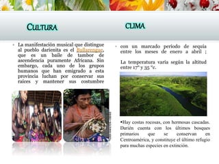 CULTURA
 La manifestación musical que distingue
al pueblo darienita es el Bullarengue,
que es un baile de tambor de
ascendencia puramente Africana. Sin
embargo, cada uno de los grupos
humanos que han emigrado a esta
provincia luchan por conservar sus
raíces y mantener sus costumbre
CLIMA
 con un marcado período de sequía
entre los meses de enero a abril ;
La temperatura varía según la altitud
entre 17° y 35 °c.
Hay costas rocosas, con hermosas cascadas.
Darién cuenta con los últimos bosques
primarios que se conservan en
Centroamérica, y constituye el último refugio
para muchas especies en extinción.
 