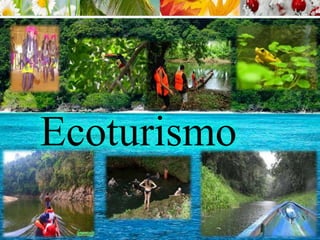 Ecoturismo
 