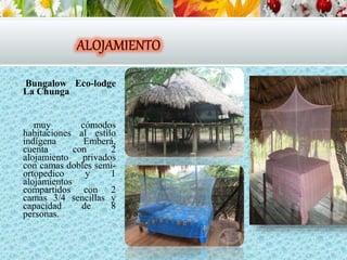  Bungalow Eco-lodge
La Chunga
muy cómodos
habitaciones al estilo
indígena Emberá,
cuenta con 2
alojamiento privados
con camas dobles semi-
ortopedico y 1
alojamientos
compartidos con 2
camas 3/4 sencillas y
capacidad de 8
personas.
 