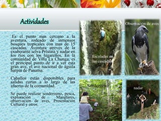 Actividades
 Es el punto mas cercano a la
aventura, rodeado de inmensos
bosques tropicales con mas de 15
cascadas. Aventura atreves de la
exuberante selva Prístina y nadar en
los ríos con los lugareños. En la
comunidad de Villa La Chunga, es
el principal punto de ir a ver esta
gran ave, el ave nacional de águila
harpía de Panama.
 Caballos están disponibles para
salidas cortas a lo largo de las
afueras de la comunidad.
 Se puede realizar senderismo, pesca,
exploración de Manglares,
observación de aves, Presentación
Cultural y otros.
Senderismo nadar
Escaladas en
las cascadas
Observación de aves
 