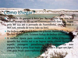 Como chegar?
 A entrada do parque é feita por Barreirinhas que tem seu
  acesso através da BR 135 até Entroncamento (km 94). Segue
  pela BR 222 até o povoado de Fazendinha, onde acessa a
  MA 026, estrada de terra (são 151 km).
 De ônibus o percurso é feito em 9 horas. Barreirinhas fica a
  370 km de São Luís. Existem linhas de ônibus diariamente.
 A melhor época para conhecer é de Julho à Dezembro
  quando faz muito sol e as lagoas estão cheias formando
  aquela paisagem paradisíaca que caracteriza este
  parque.Vale a pena ficar mais alguns dias e alugar um jipe (
  com guia local) para explorar o lugar.
 
