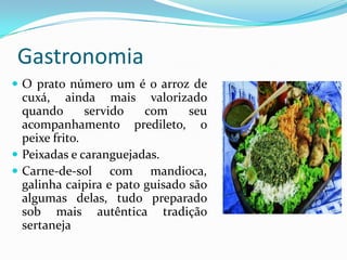 Gastronomia
 O prato número um é o arroz de
  cuxá, ainda mais valorizado
  quando       servido   com     seu
  acompanhamento predileto, o
  peixe frito.
 Peixadas e caranguejadas.
 Carne-de-sol com mandioca,
  galinha caipira e pato guisado são
  algumas delas, tudo preparado
  sob mais autêntica tradição
  sertaneja
 