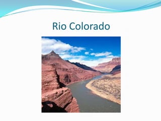 Rio Colorado
 
