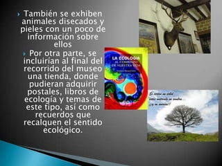 También se exhiben
animales disecados y
pieles con un poco de
  información sobre
          ellos
  Por otra parte, se
 incluirían al final del
 recorrido del museo
  una tienda, donde
   pudieran adquirir
  postales, libros de
 ecología y temas de
  este tipo, así como
    recuerdos que
 recalquen el sentido
      ecológico.
 