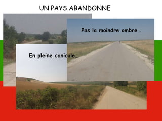 UN PAYS ABANDONNE
En pleine canicule…
Pas la moindre ombre…
 