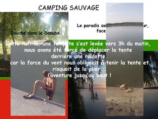 CAMPING SAUVAGE
Le paradis sous le saule pleureur,
face au DanubeDouche dans le Danube
Cette nuit là, une tempête s’est levée vers 3h du matin,
nous avons été forcé de déplacer la tente
derrière une roulotte
car la force du vent nous obligeait à tenir la tente et
risquait de la plier …
l’aventure jusqu’au bout !
 