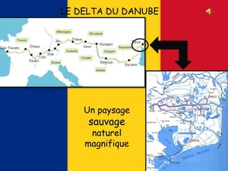 LE DELTA DU DANUBE
Un paysage
sauvage
naturel
magnifique
 