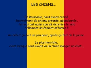 LES CHIENS…
En Roumanie, nous avons croisé
énormément de chiens errants, abandonnés..
ils nous ont aussi coursé derrière le vélo
tellement ils étaient affamés !!
Au début ça fait un peu peur, après ça fait de la peine…
Le plus horrible,
c’est lorsque nous avons vu un chien manger un chat….
 