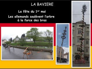 LA BAVIERE
La fête du 1er mai
Les allemands soulèvent l’arbre
à la force des bras
 