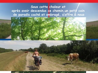 Sous cette chaleur et
après avoir descendus ce chemin,un petit coin
de paradis caché et ombragé, s’offre à nous
 