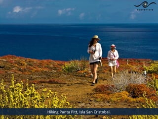 Hiking Punta Pitt, Isla San Cristobal.
 