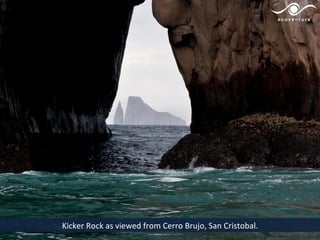 Kicker Rock as viewed from Cerro Brujo, San Cristobal.
 