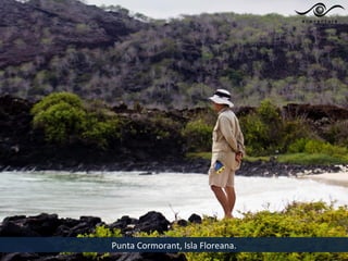 Punta Cormorant, Isla Floreana.
 