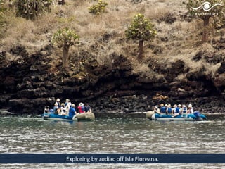 Exploring by zodiac off Isla Floreana.
 