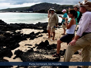 Punta Cormorant, Isla Floreana.
 