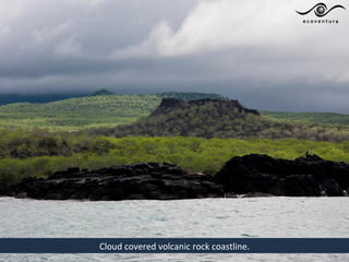 Cloud covered volcanic rock coastline.
 