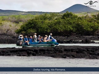 Zodiac touring, Isla Floreana.
 