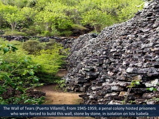 The Wall of Tears (Puerto Villamil), From 1945-1959, a penal colony hosted prisoners
    who were forced to build this wall, stone by stone, in isolation on Isla Isabela
 