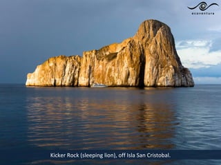 Kicker Rock (sleeping lion), off Isla San Cristobal.
 