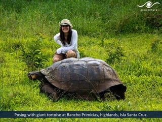 Posing with giant tortoise at Rancho Primicias, highlands, Isla Santa Cruz.
 