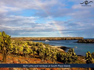 M/Y Letty and rainbow at South Plaza Island.
 