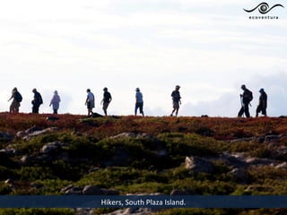 Hikers, South Plaza Island.
 