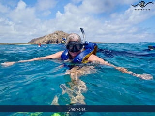 Snorkeler.
 