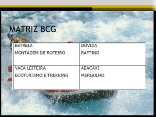 MATRIZ BCG
 