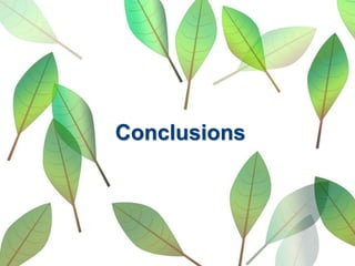 Conclusions
 