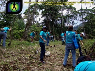 Ecovoluntarios de stein se une a xtremas