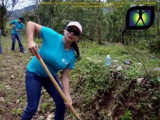 Ecovoluntarios de stein se une a xtremas