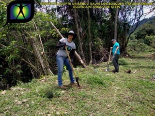 Ecovoluntarios de stein se une a xtremas