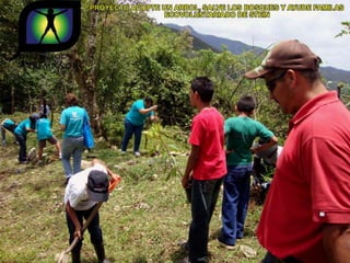 Ecovoluntarios de stein se une a xtremas