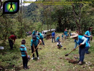 Ecovoluntarios de stein se une a xtremas